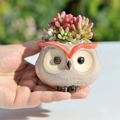 Ceramic Owl-Shaped Planters!