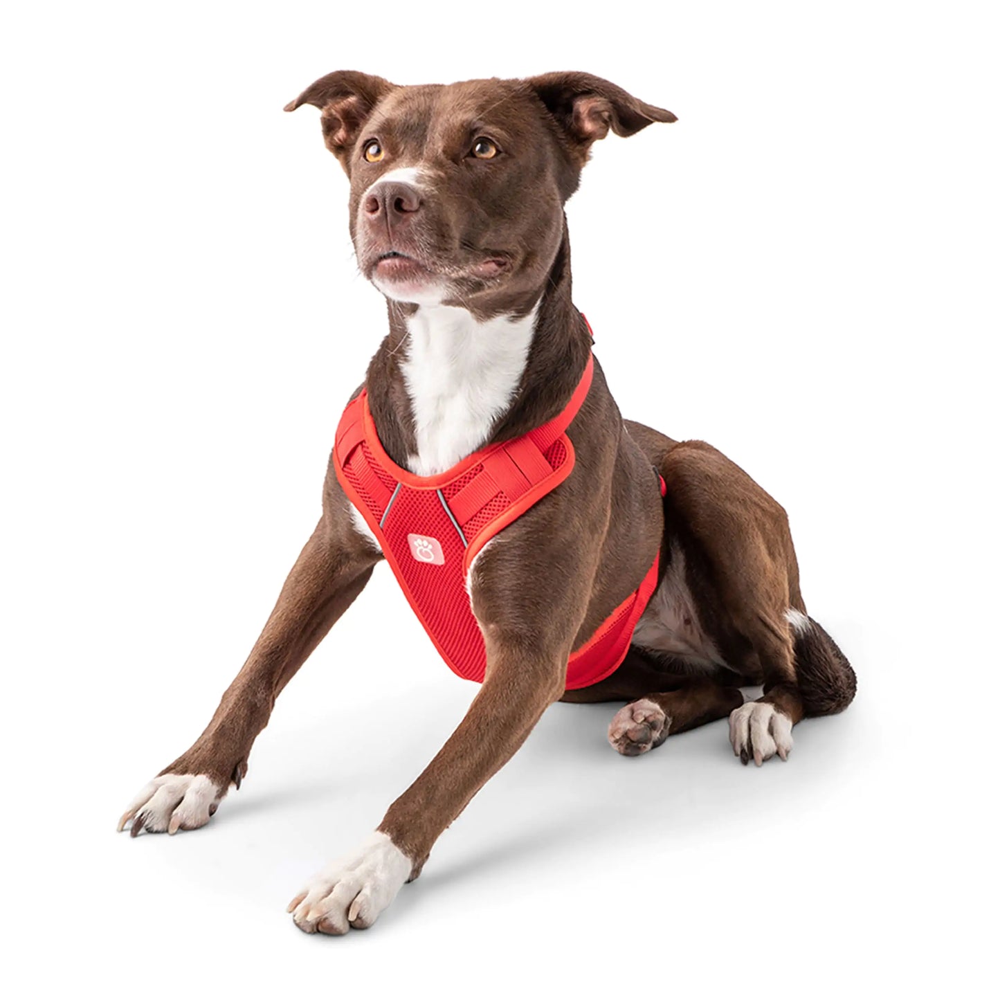 Travel Harness - Red